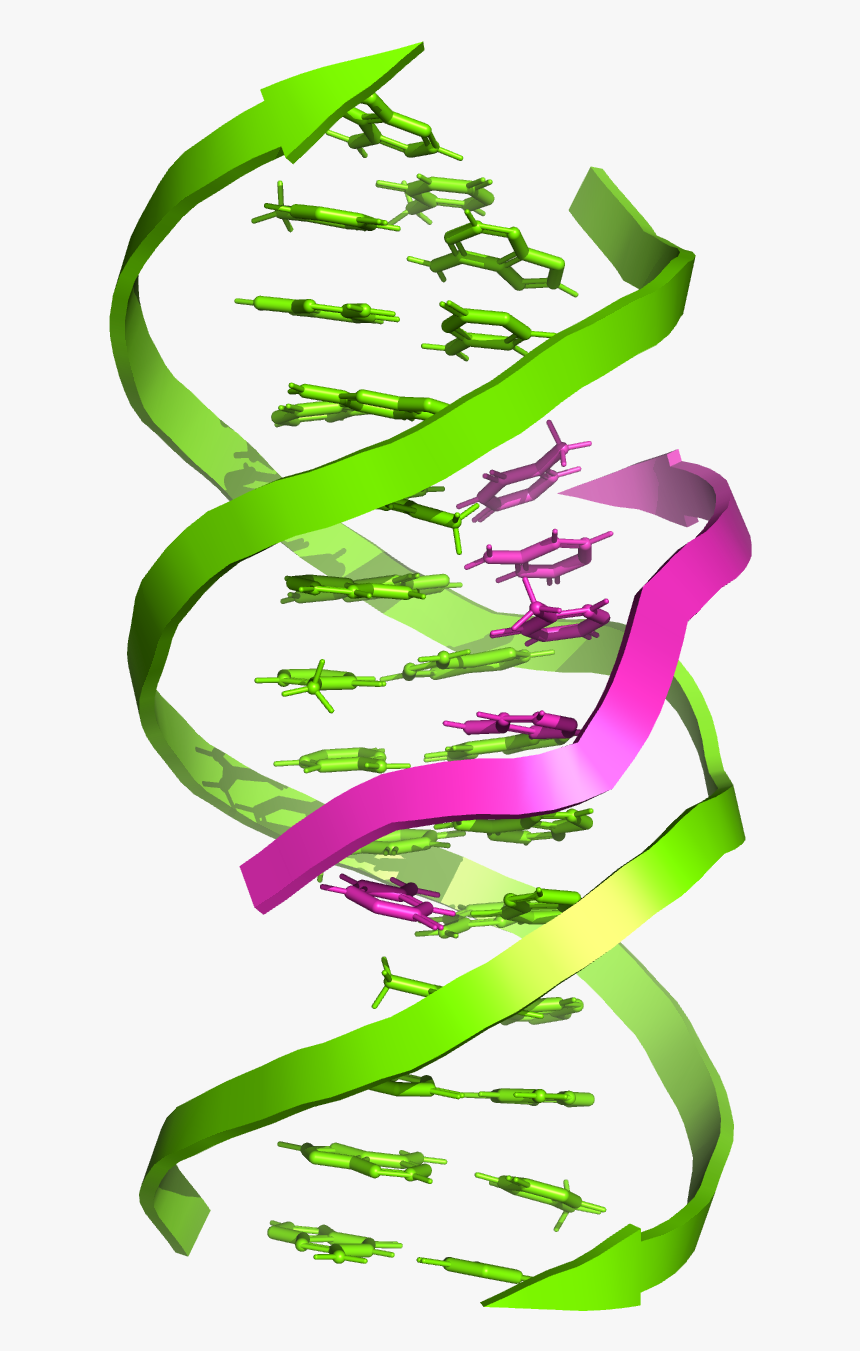 Graphic Design, HD Png Download