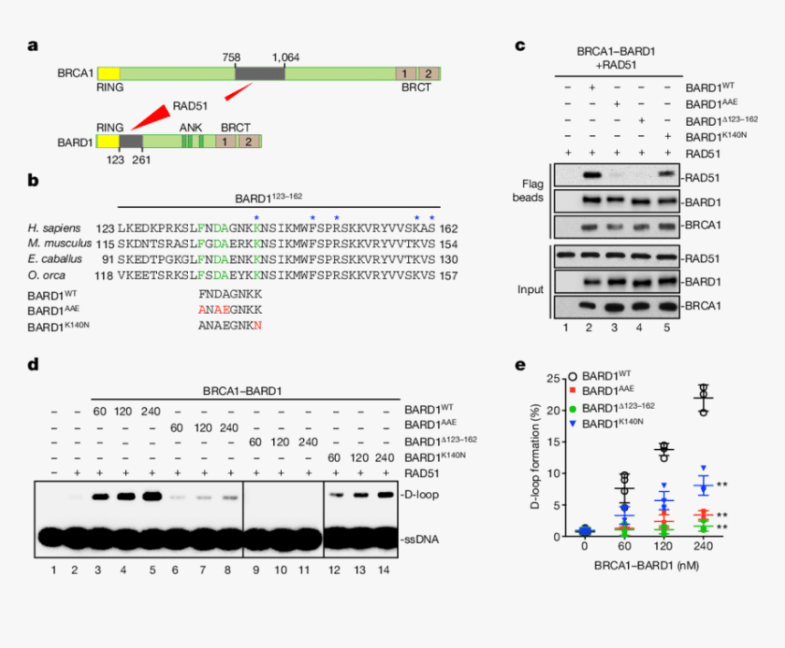 Screenshot, HD Png Download