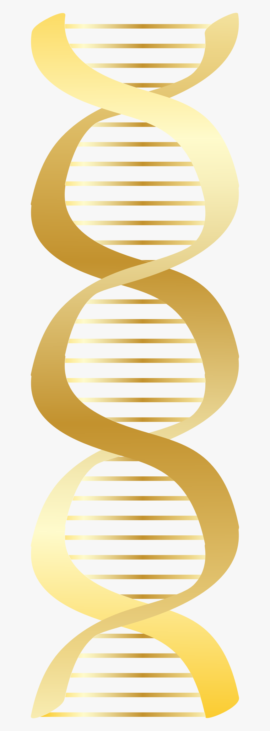 Dna Clipart Dna Symbol - Dna Gold Clipart, HD Png Download