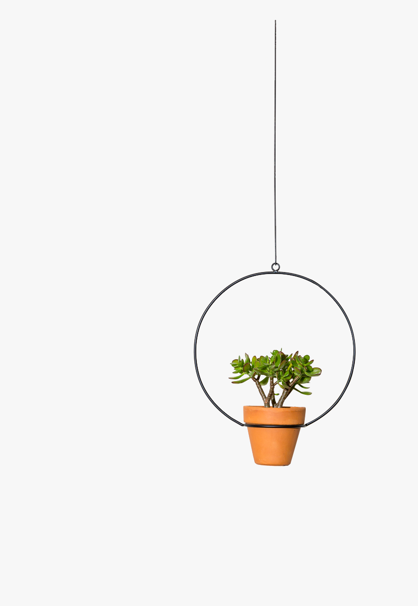 Img - Houseplant, HD Png Download