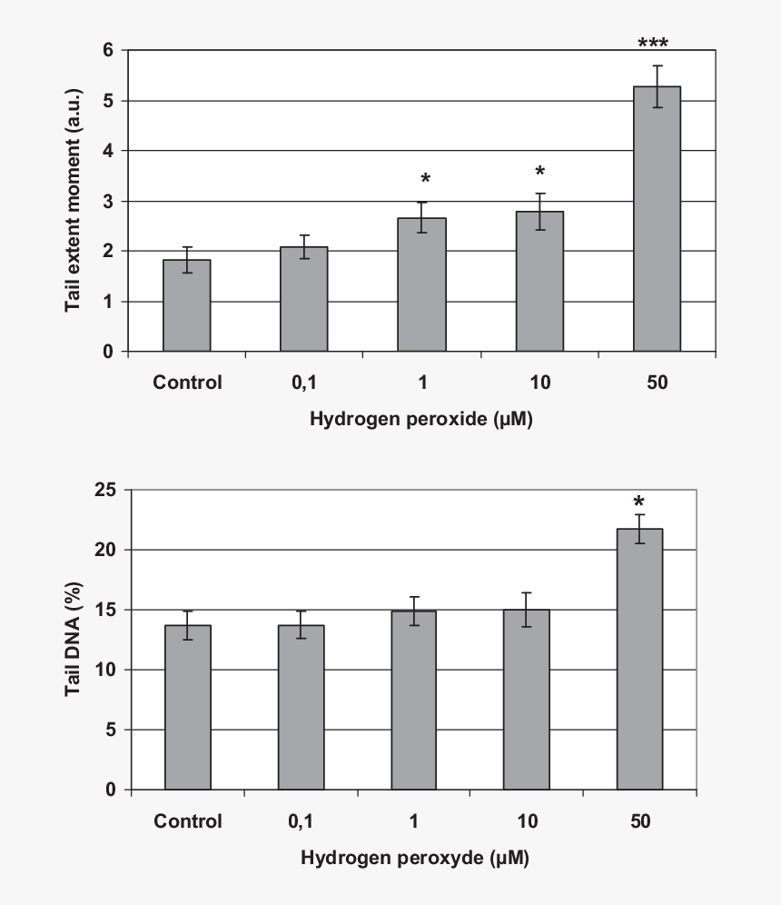 Diagram, HD Png Download