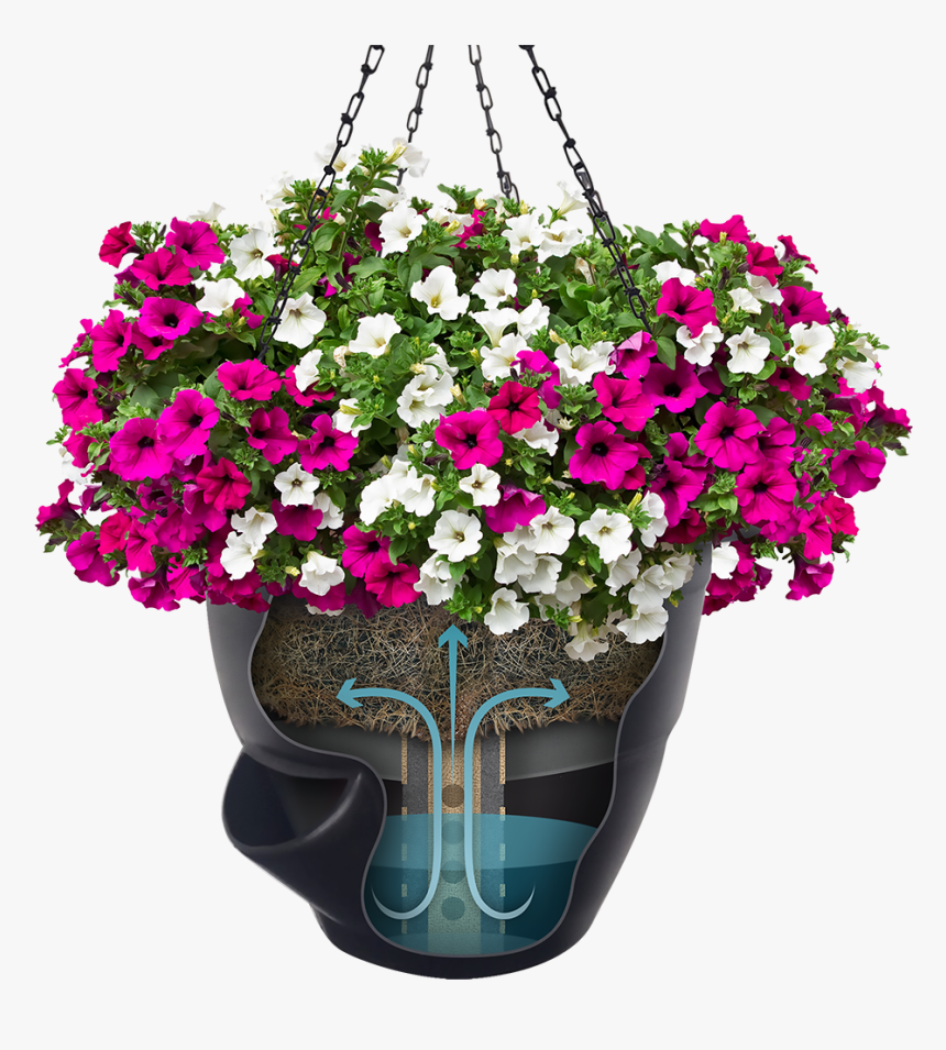 Self Watering Hanging Baskets Purple, HD Png Download