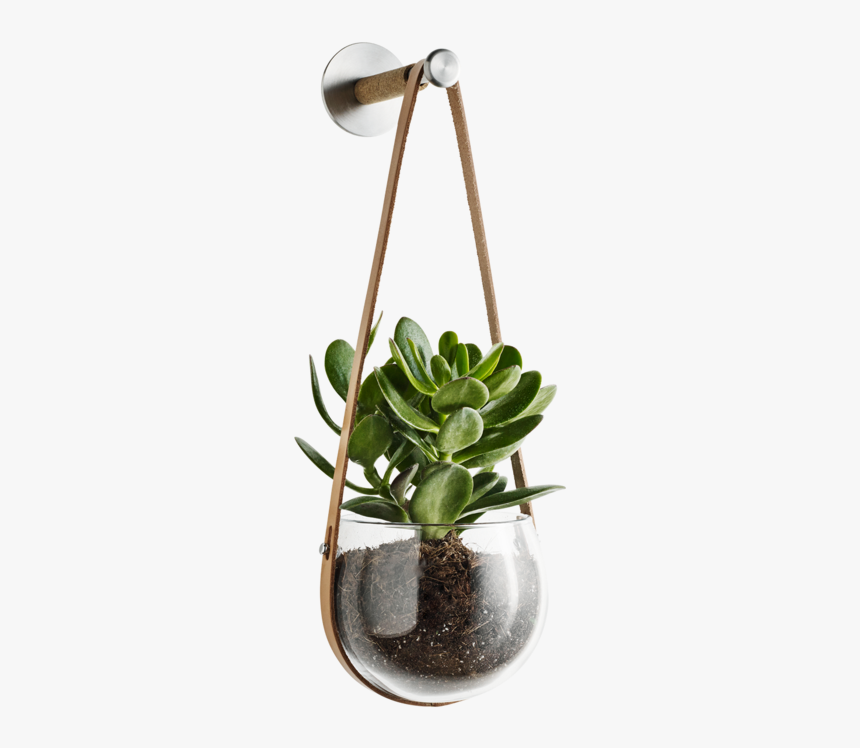 Design With Light Hanging Pot And Peg By Holmegaard - Interior Plant Png, Transparent Png
