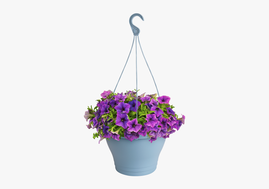 Flowerpot, HD Png Download