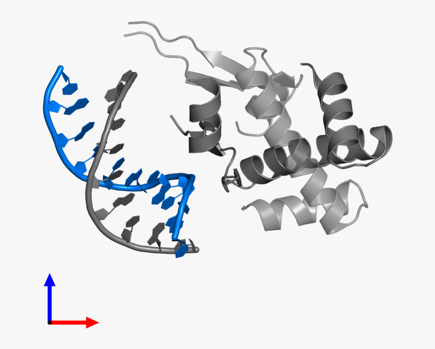 Calligraphy, HD Png Download