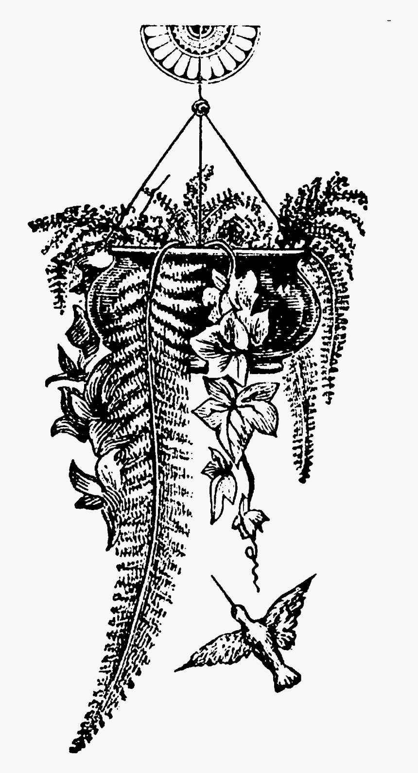 Illustration, HD Png Download