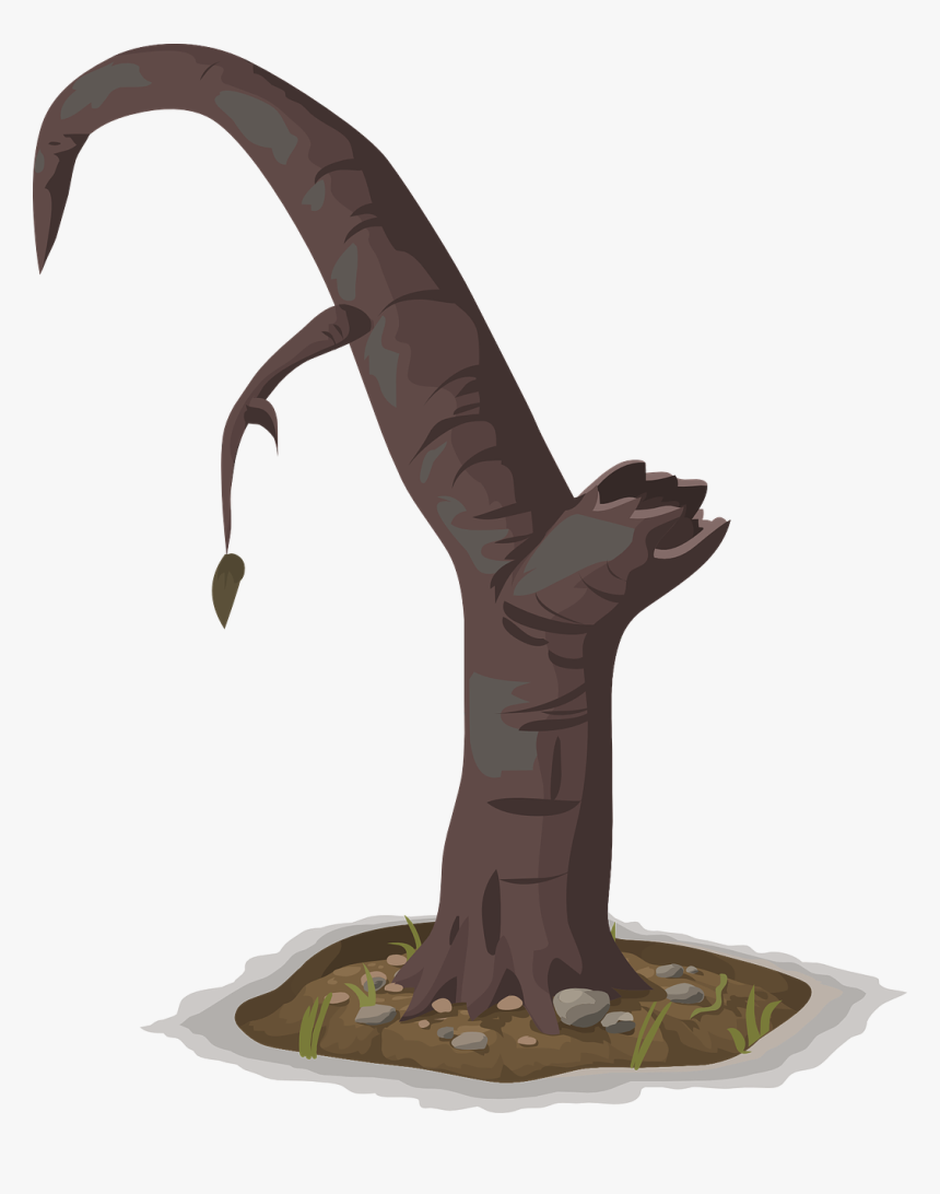 Tree Branch Images Cartoon, HD Png Download
