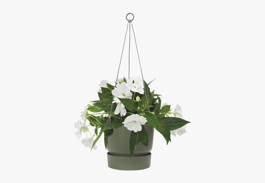Flowerpot, HD Png Download
