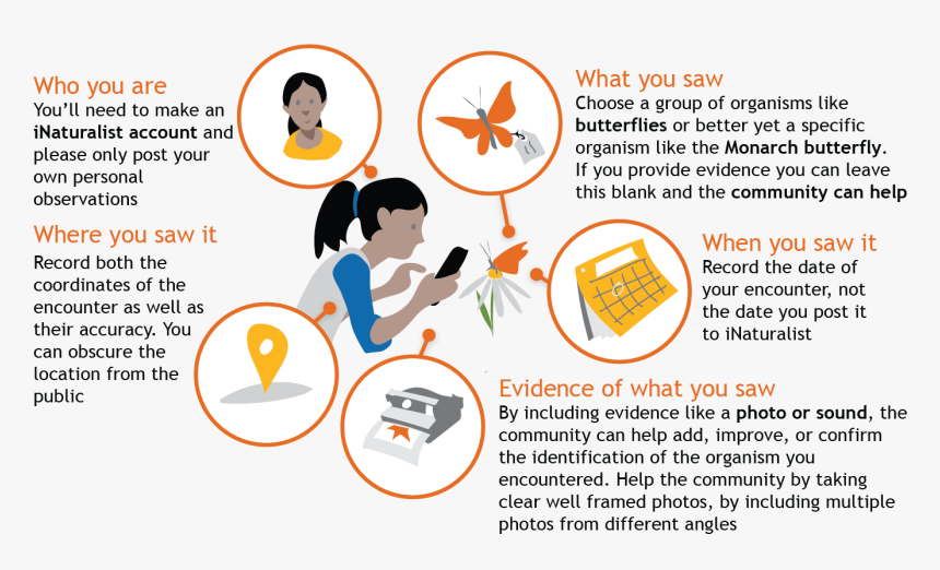 Make An Observation, HD Png Download