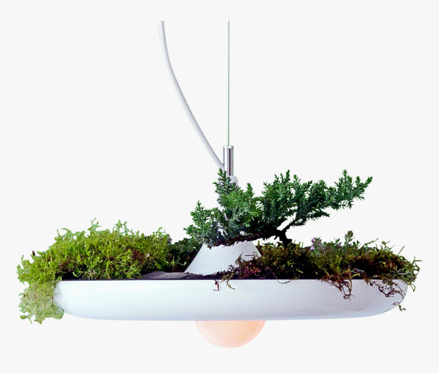 Babylon Light-0 - Светильники С Зеленью, HD Png Download