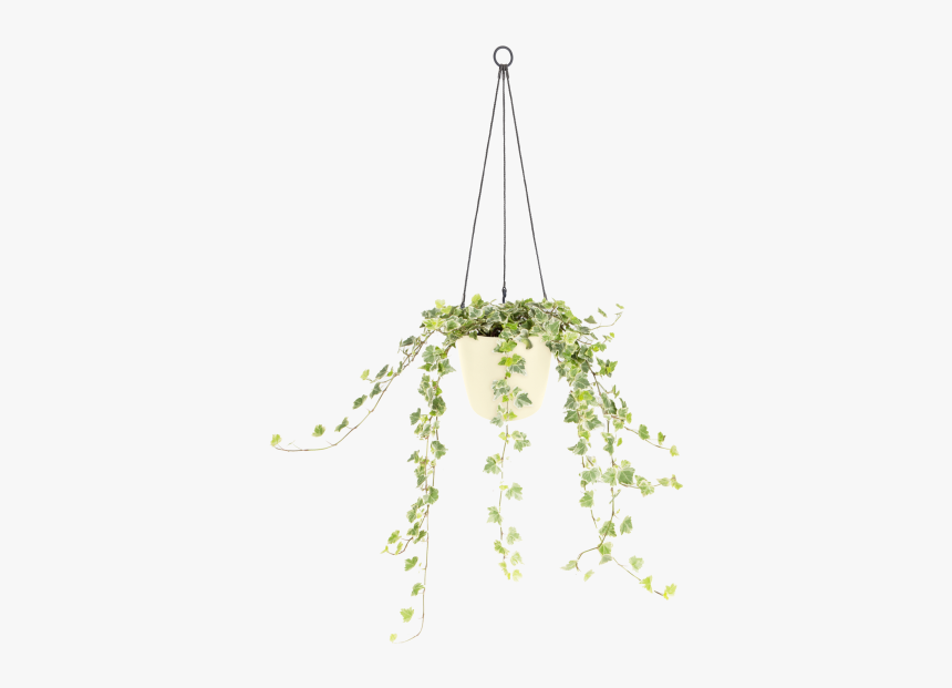 Chandelier, HD Png Download