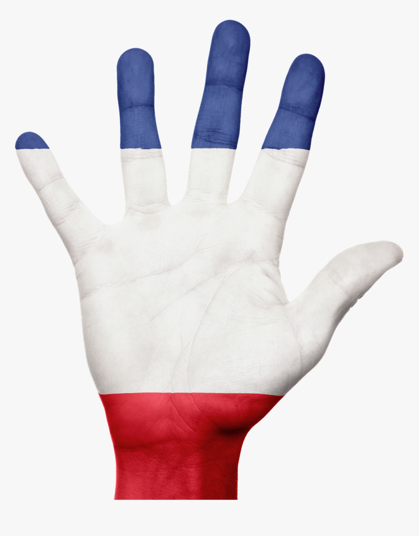 Niger Flag Hand, HD Png Download