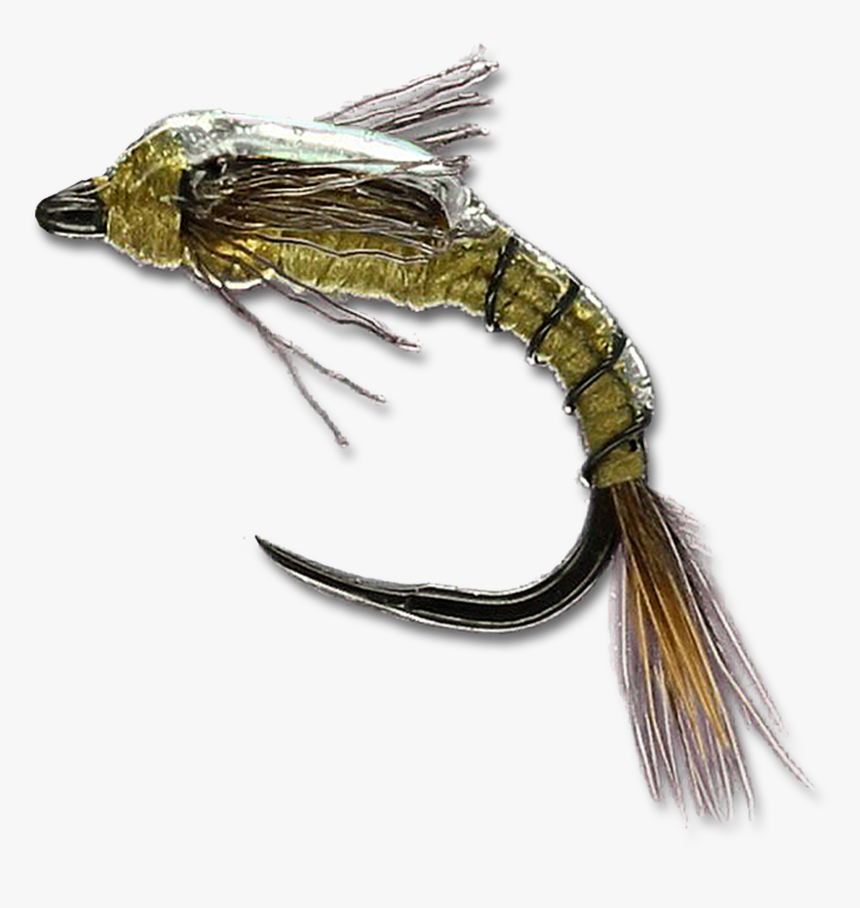 Shot Glass Baetis - Sand Eel, HD Png Download