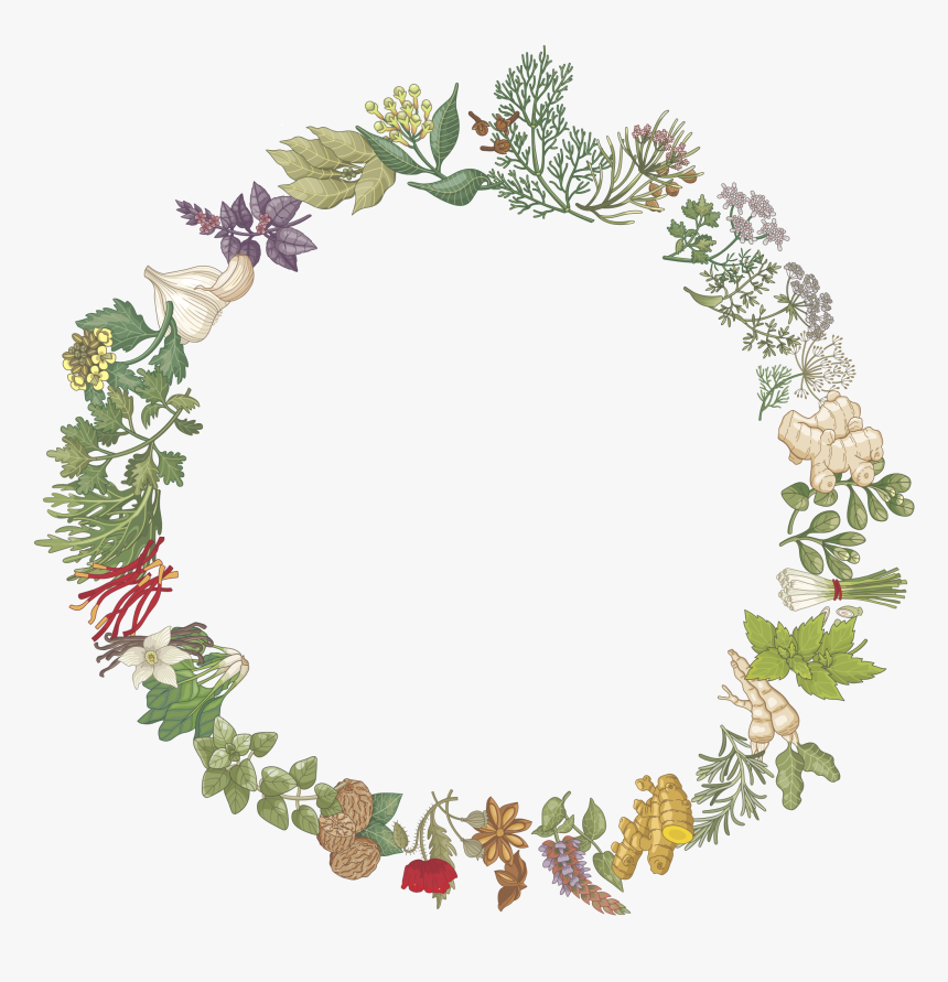 Oval Vintage Frame Clip Art, HD Png Download