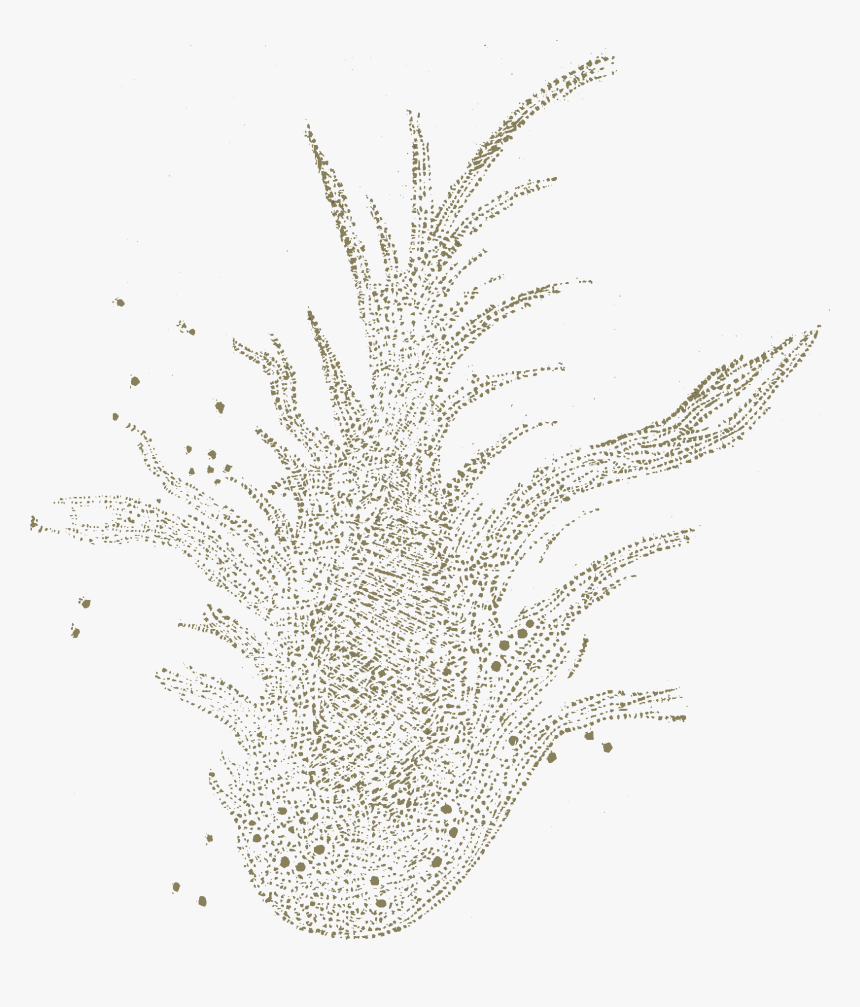 Carroll Phantasmagoria Crab Nebula - Sketch, HD Png Download