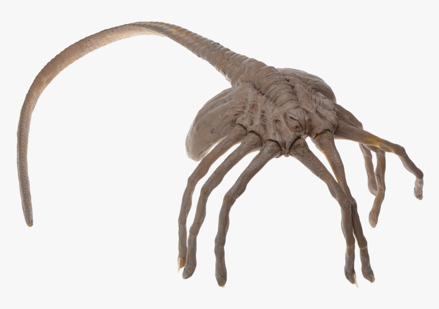 Alien Hugger Png, Transparent Png
