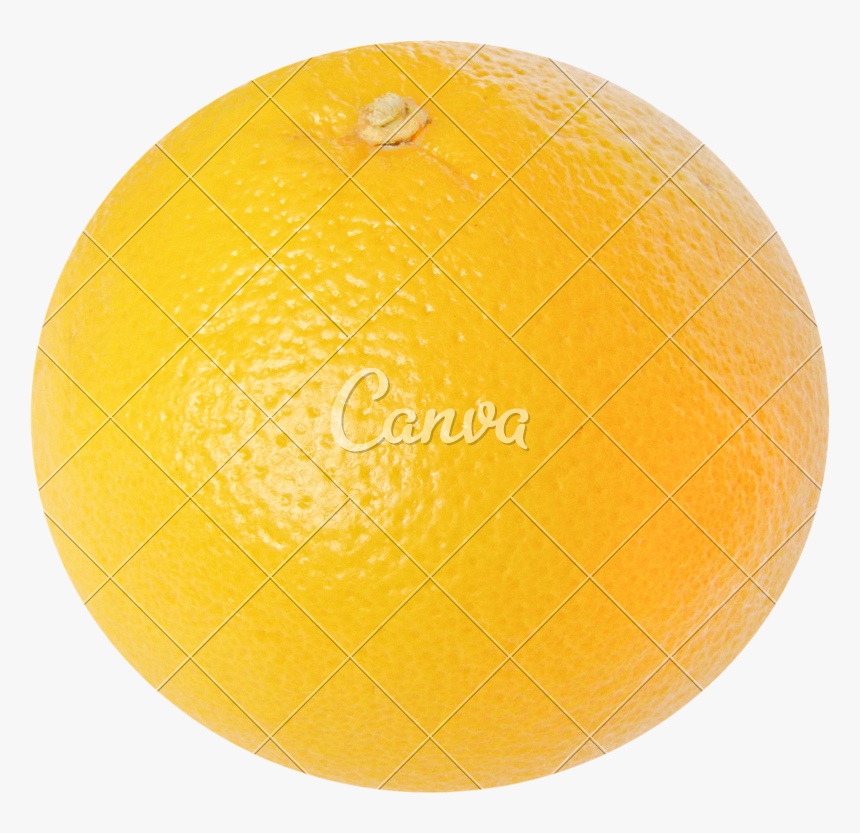 Dodgeball - Valencia Orange, HD Png Download