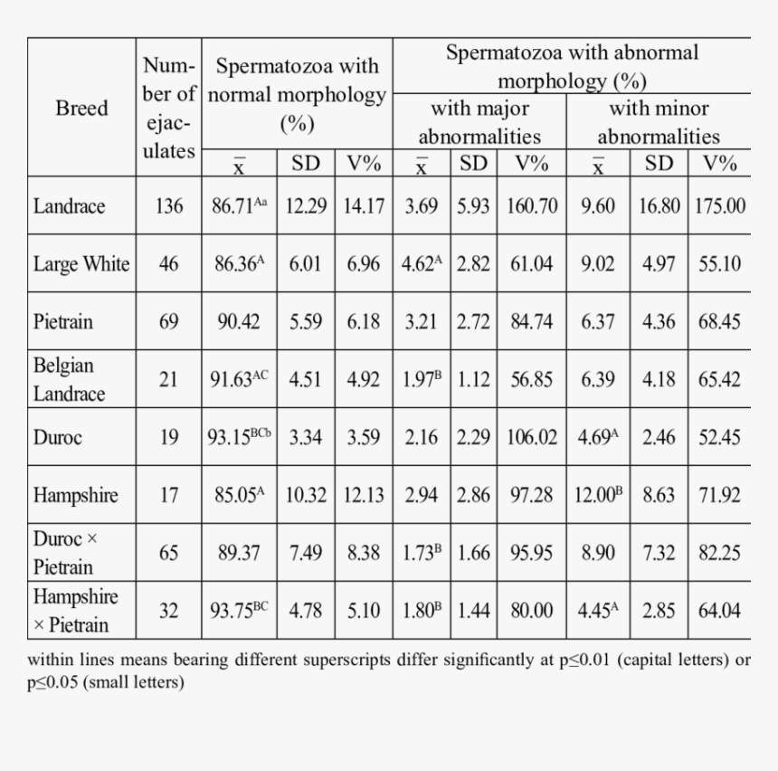 Dn 125 In Mm, HD Png Download