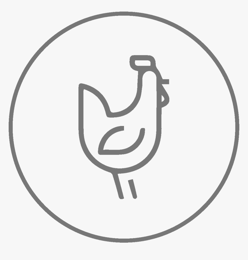 Poultry Semen Processing - Drawing, HD Png Download
