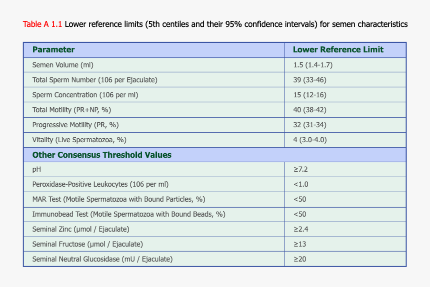 Normal Range Seminal Fluid Analysis, HD Png Download