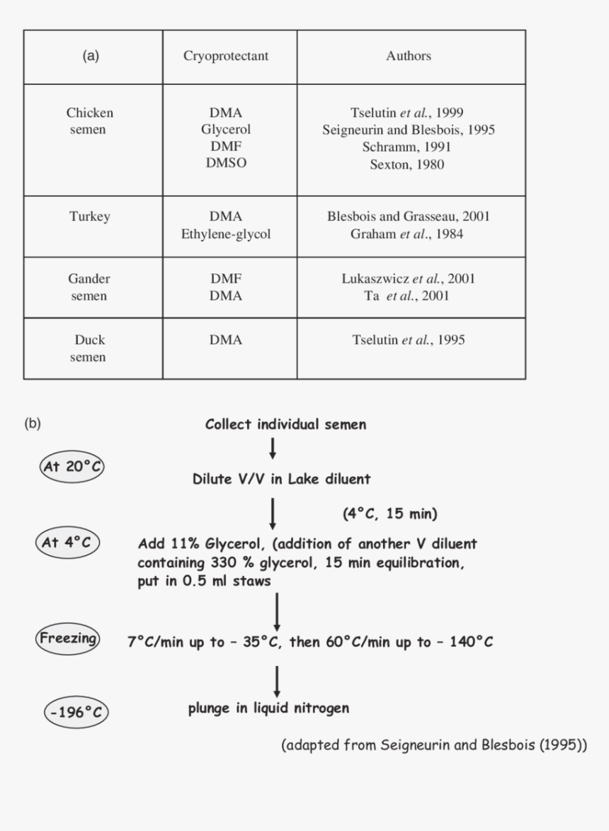 Time Of Insemination In Different Species, HD Png Download