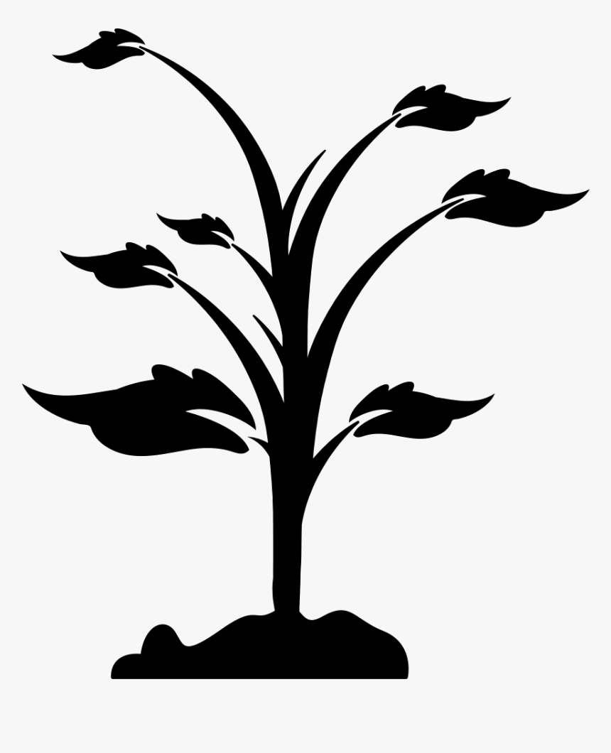 Plant On Ground - Black Plants Png, Transparent Png