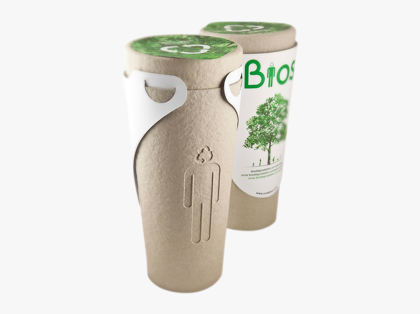 Prbu0001 - Urn Tree, HD Png Download