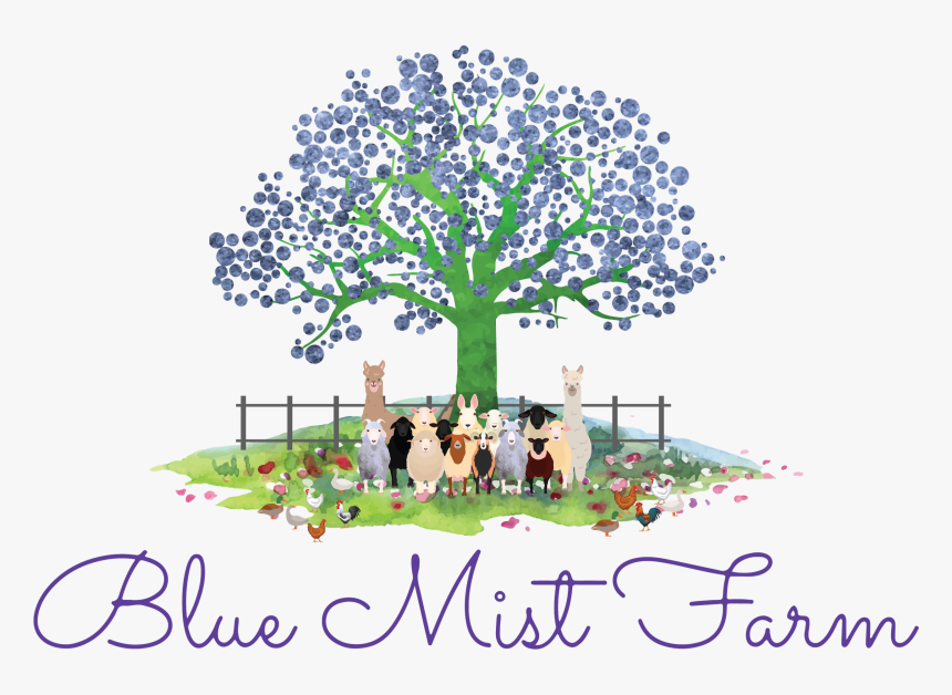 Image7 - Tree, HD Png Download