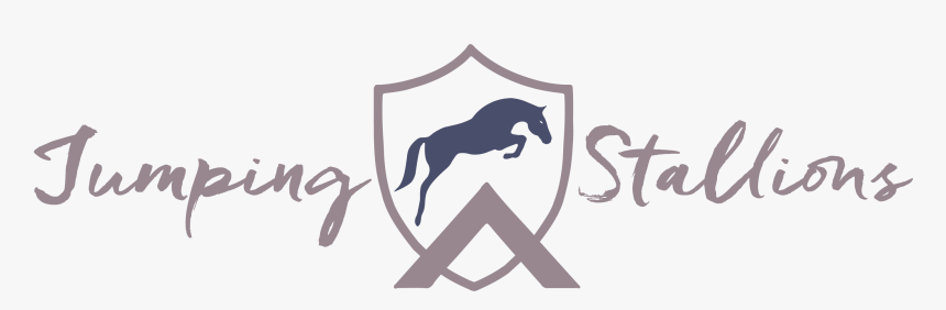 Stallion, HD Png Download