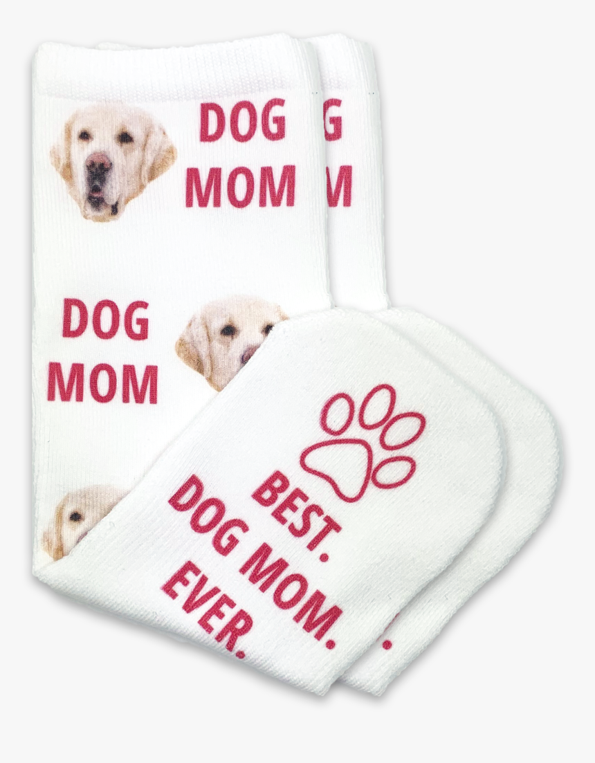 Labrador Retriever, HD Png Download