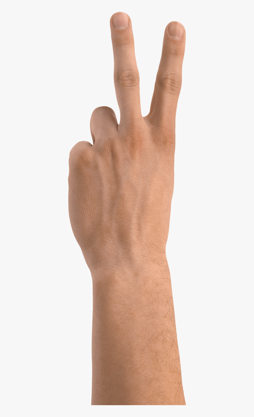 Hands Png Hand Image 
										 Title, Transparent Png