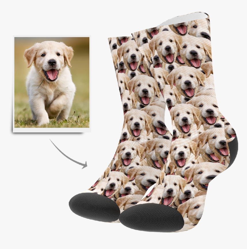 Dalmatian, HD Png Download