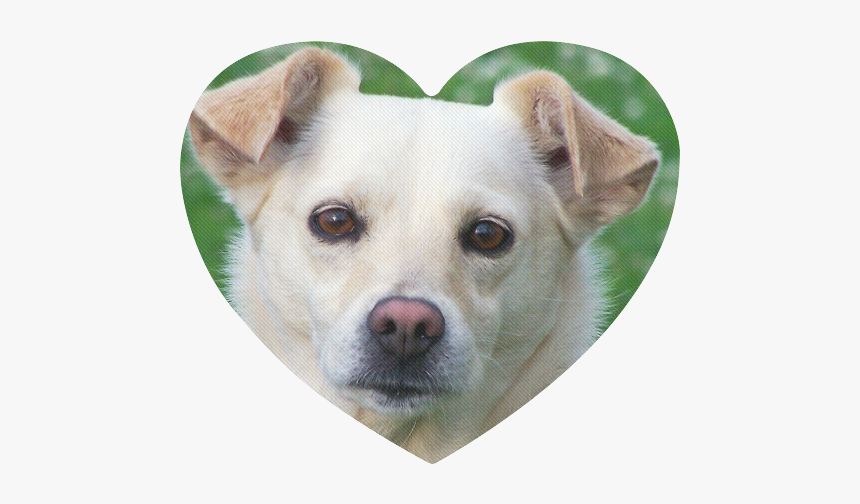 Dog Face Close Up Heart Shaped Mousepad - Dog, HD Png Download