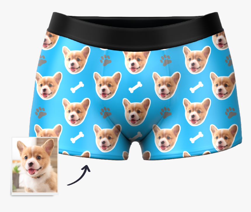 Dog Face Boxers Underwear, HD Png Download