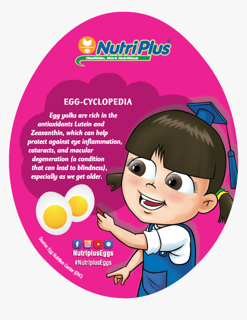 Coaster V4 Website Back2-05 - Portable Network Graphics, HD Png Download