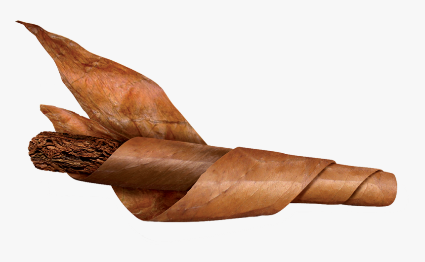 Tobacco Leaf Cigar Png, Transparent Png