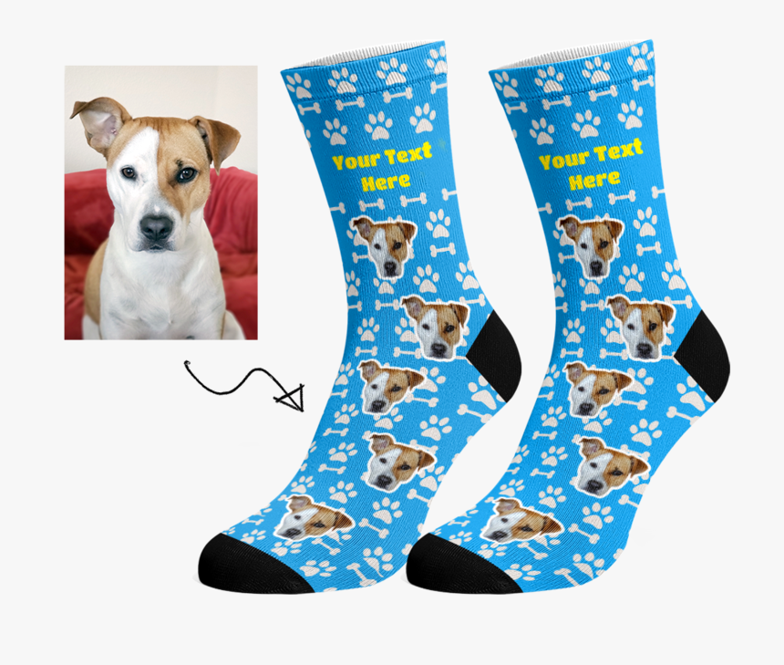 Miniature Fox Terrier, HD Png Download