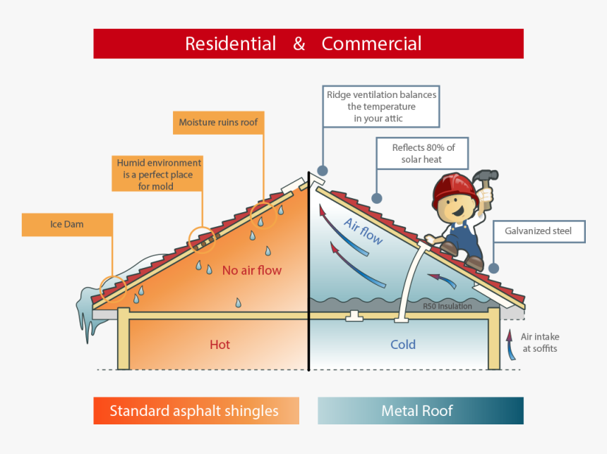 Image - Diagram, HD Png Download