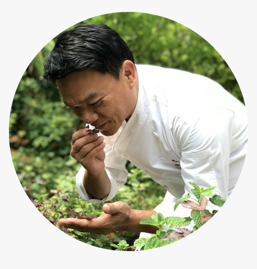 Chef Ian Kittichai At Tangerine S Herb Garden - Grass, HD Png Download