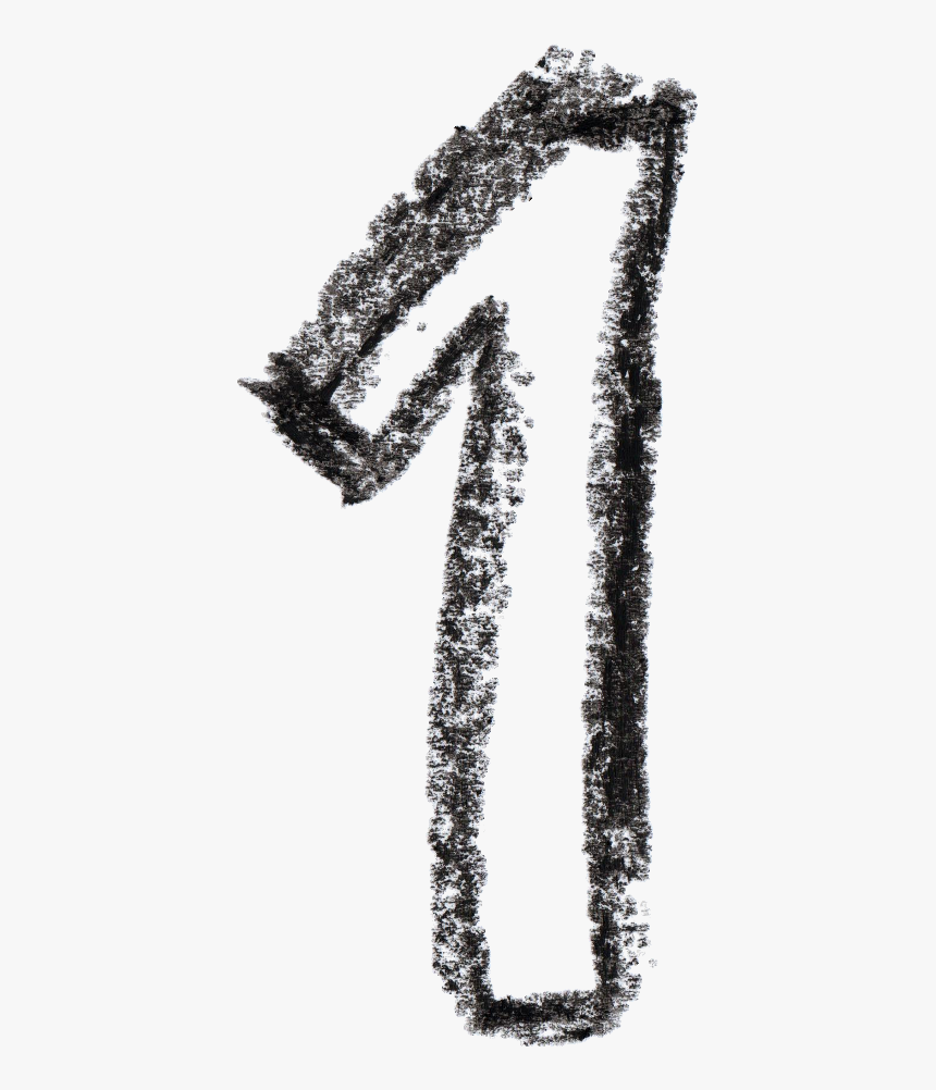 White Pine, HD Png Download