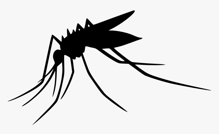 Mosquito Transparent Png - Transparent Background Mosquito Clipart, Png Download