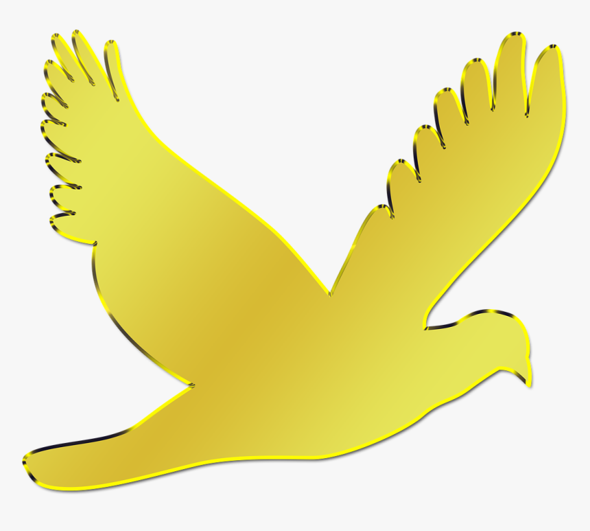 Paloma, Ave, Animal, Nature, Peak, Flight, Freedom - Paloma Dorada Silueta Png, Transparent Png