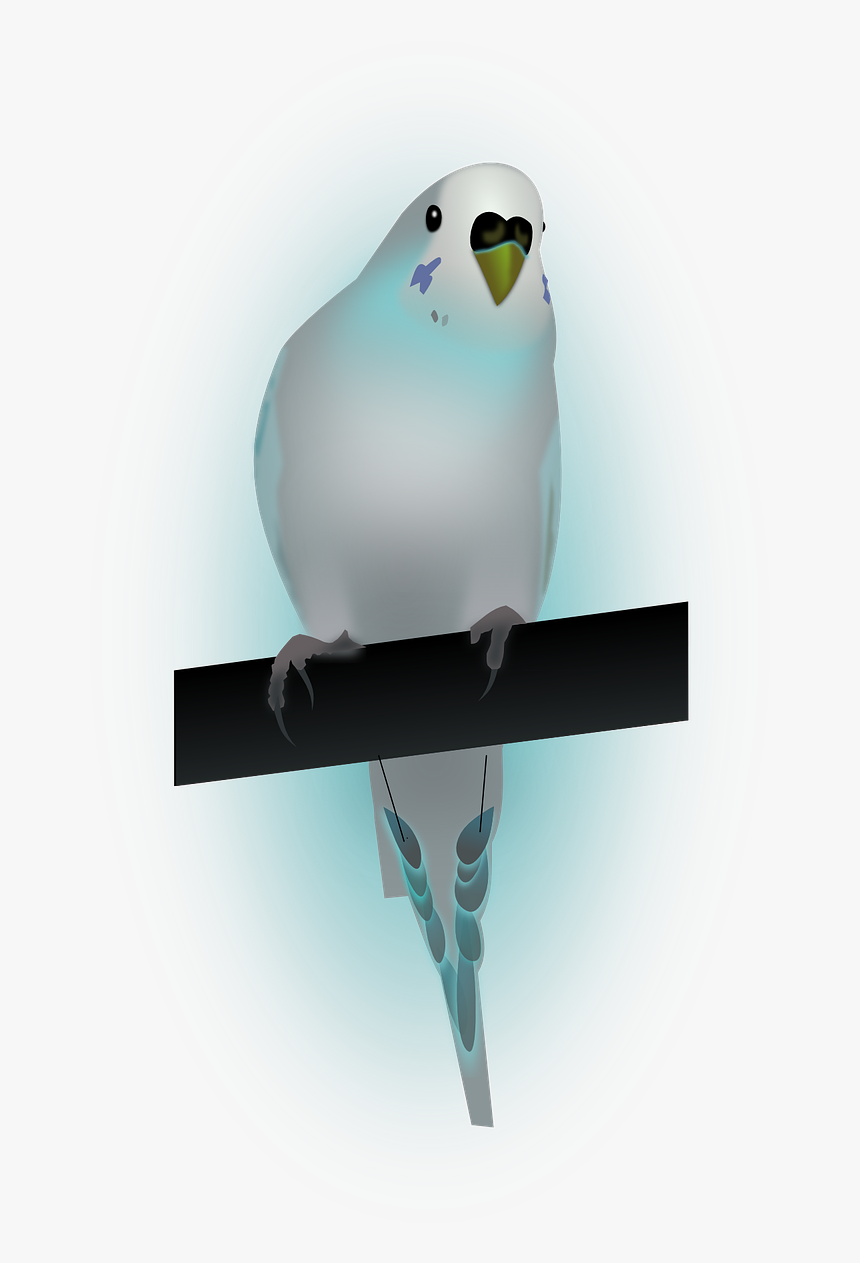 Bird,dove,dove Of Peace,peace - Papużka Falista Png, Transparent Png
