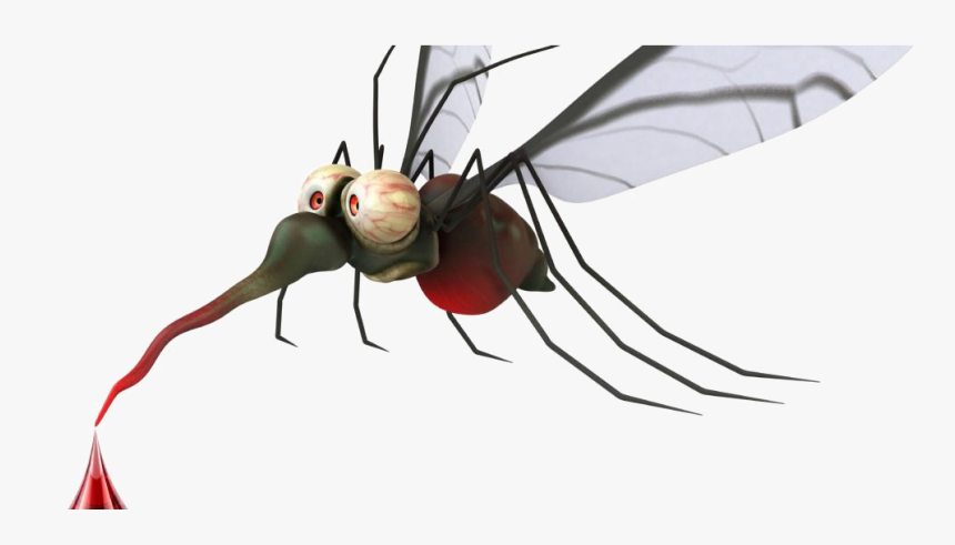 Transparent Mosquito Png - Mosquito Png, Png Download