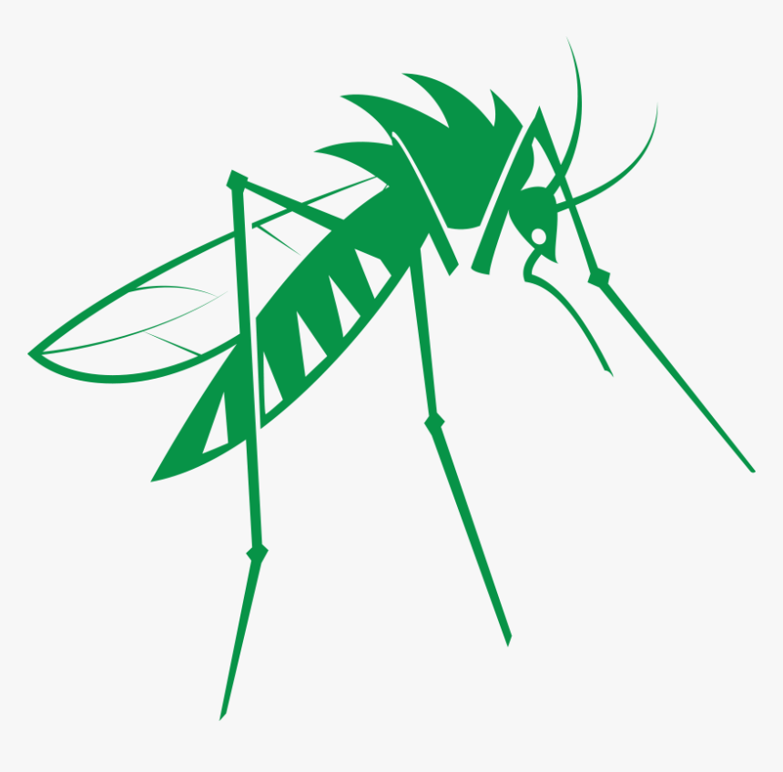 Mosquito Png Free Download - Mosquito, Transparent Png