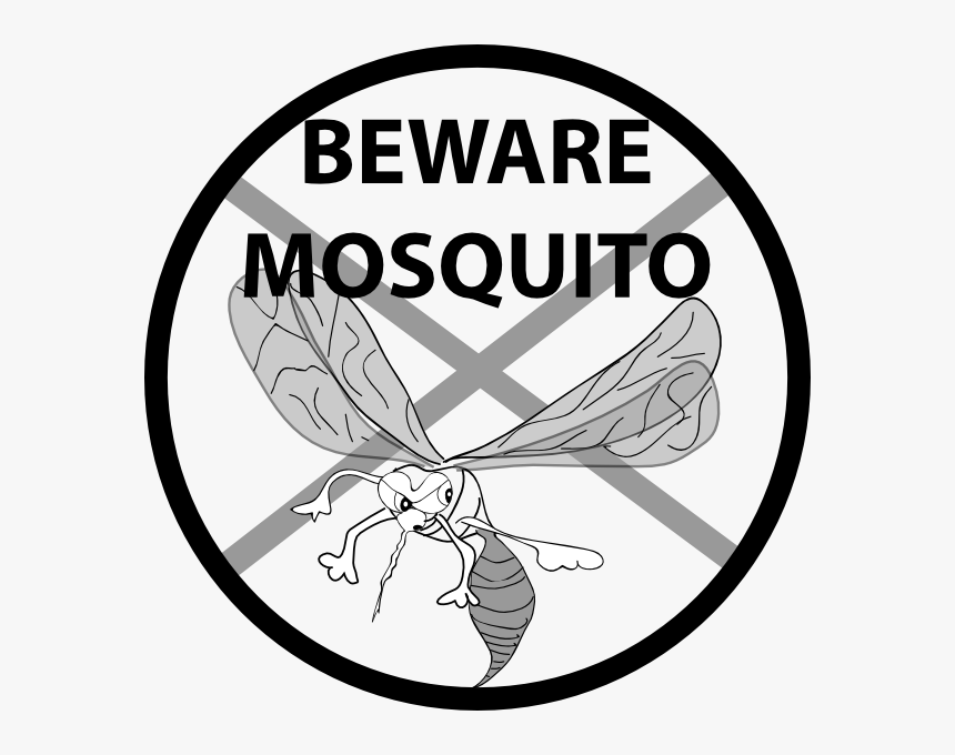 Beware Mosquito Svg Clip Arts - Ozone Therapy Before And After, HD Png Download
