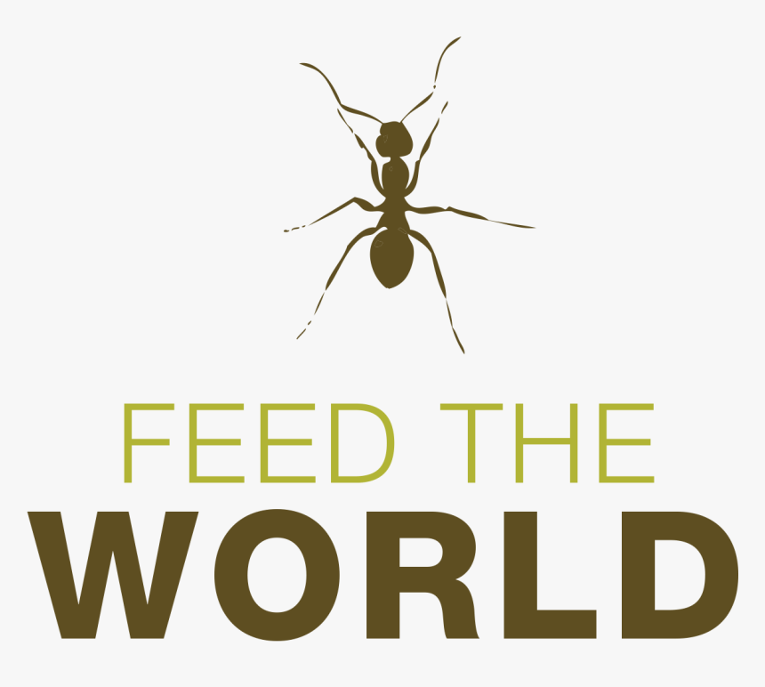 Insects To Feed The Worldhttp - Ant, HD Png Download