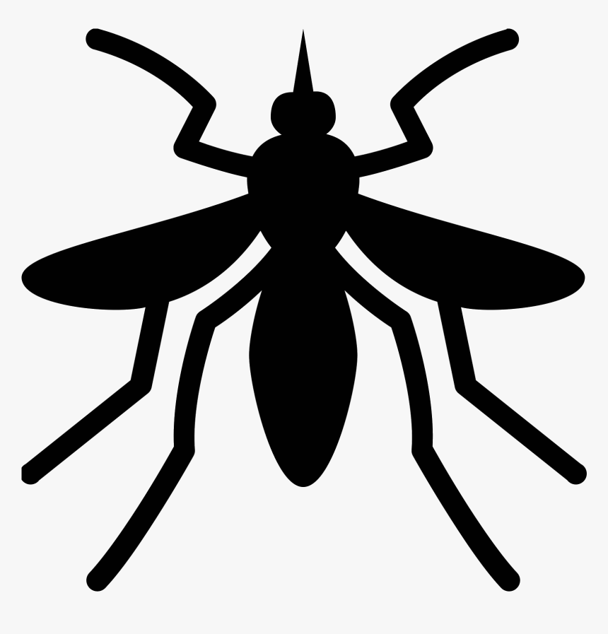 Image Transparent Cartoons Vector Mosquito - Yellow Fever, HD Png Download