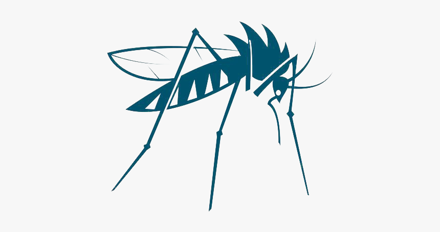 Mosquito Insect Vector Bed Bug Mosquito Vector Png Transparent