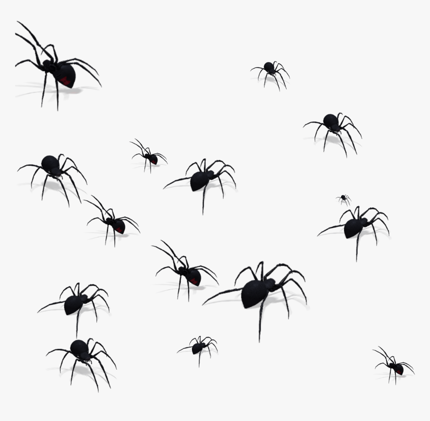 Transparent Mosquito Silhouette Png - Lots Of Spiders Png, Png Download
